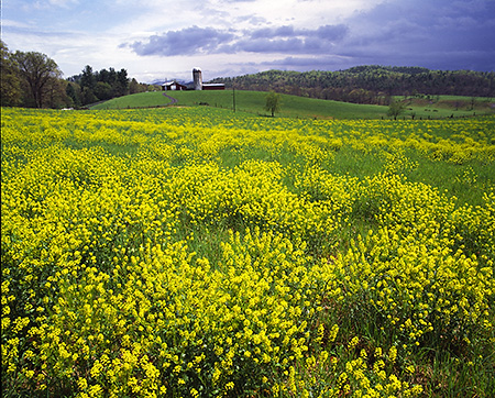 Augusta County Farm, VA